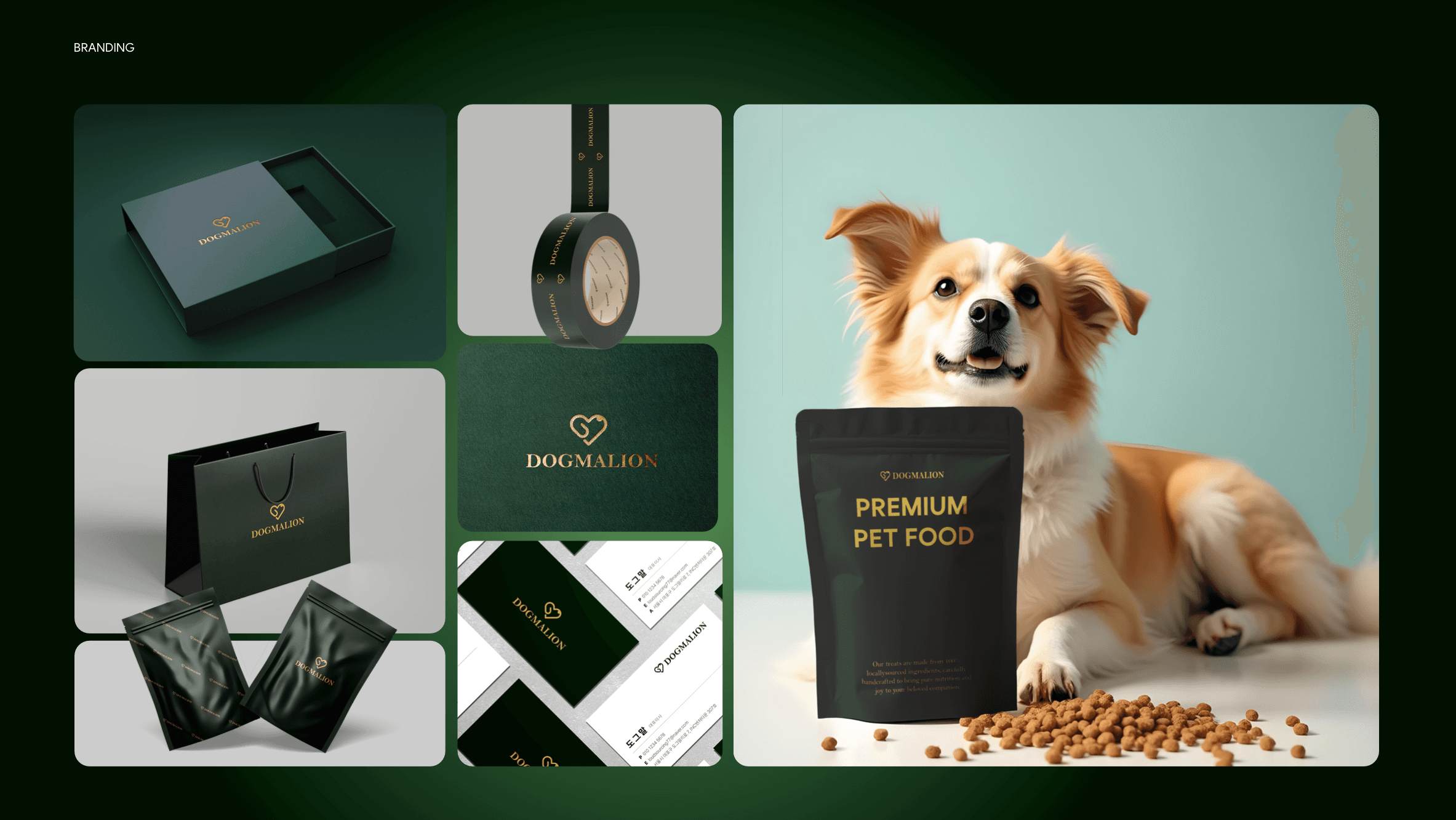 도그말리온 - 이미지 3